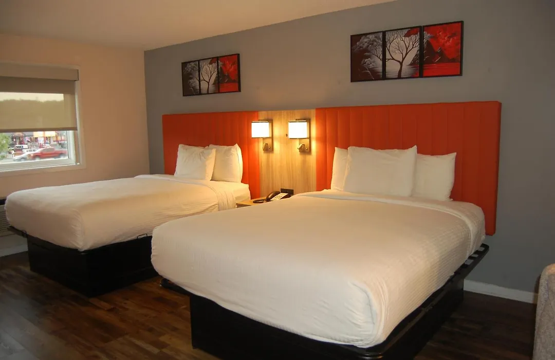 Vacation Lodge-1